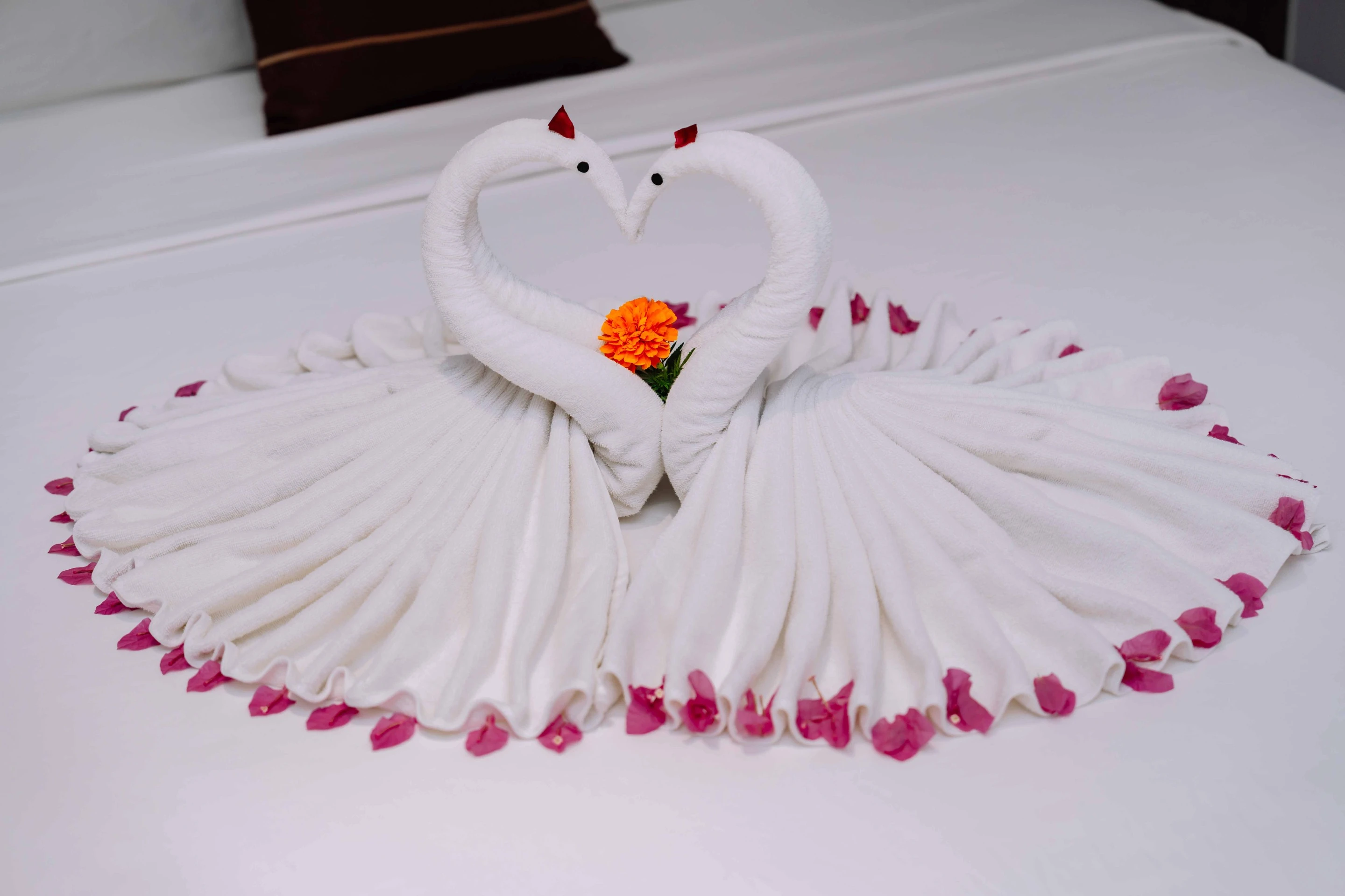 Viet Hoa Hotel & Residence Cat Ba – Rooftop Pool 5