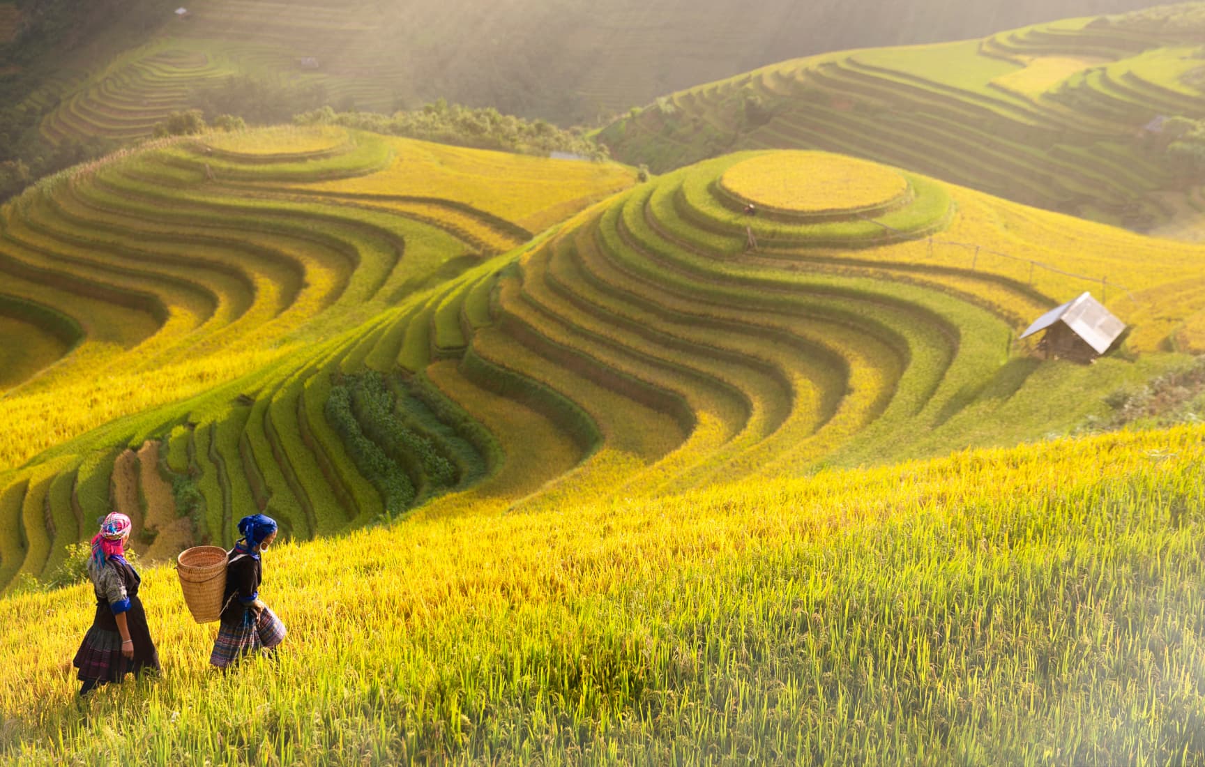 ZingHome Ha Giang Loop Tour 4